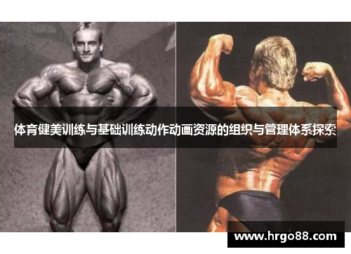 体育健美训练与基础训练动作动画资源的组织与管理体系探索