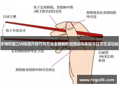 手指抓握力训练提升技巧与方法全面解析加强运动表现与日常生活功能